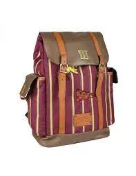 Ranac Harry Potter - Gryffindor Stripes - Travel Backpack 