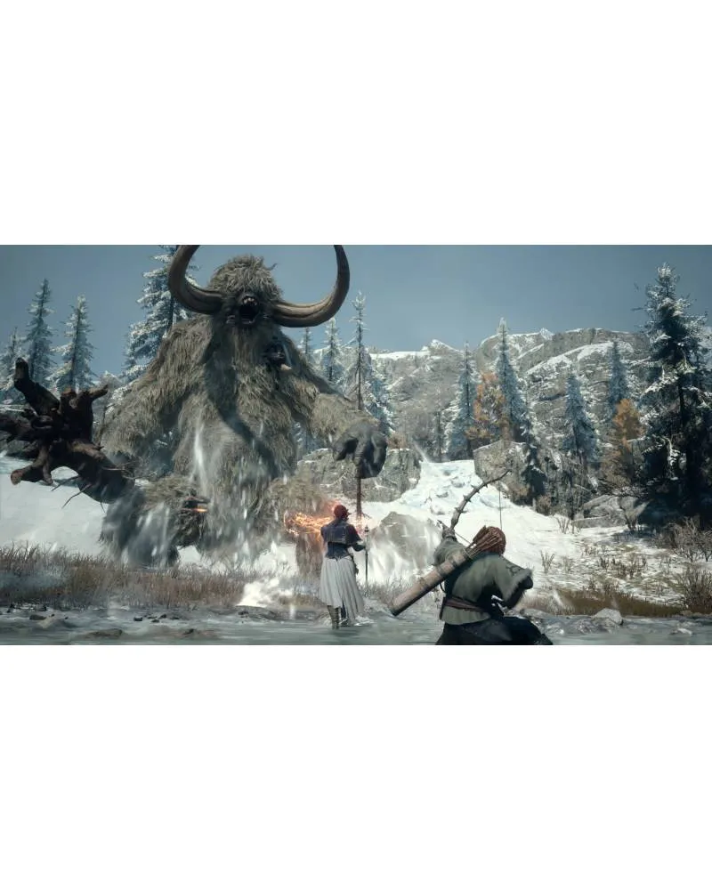 PC Dragons Dogma 2 - Dark Arisen - Master Edition - Code In A Box 