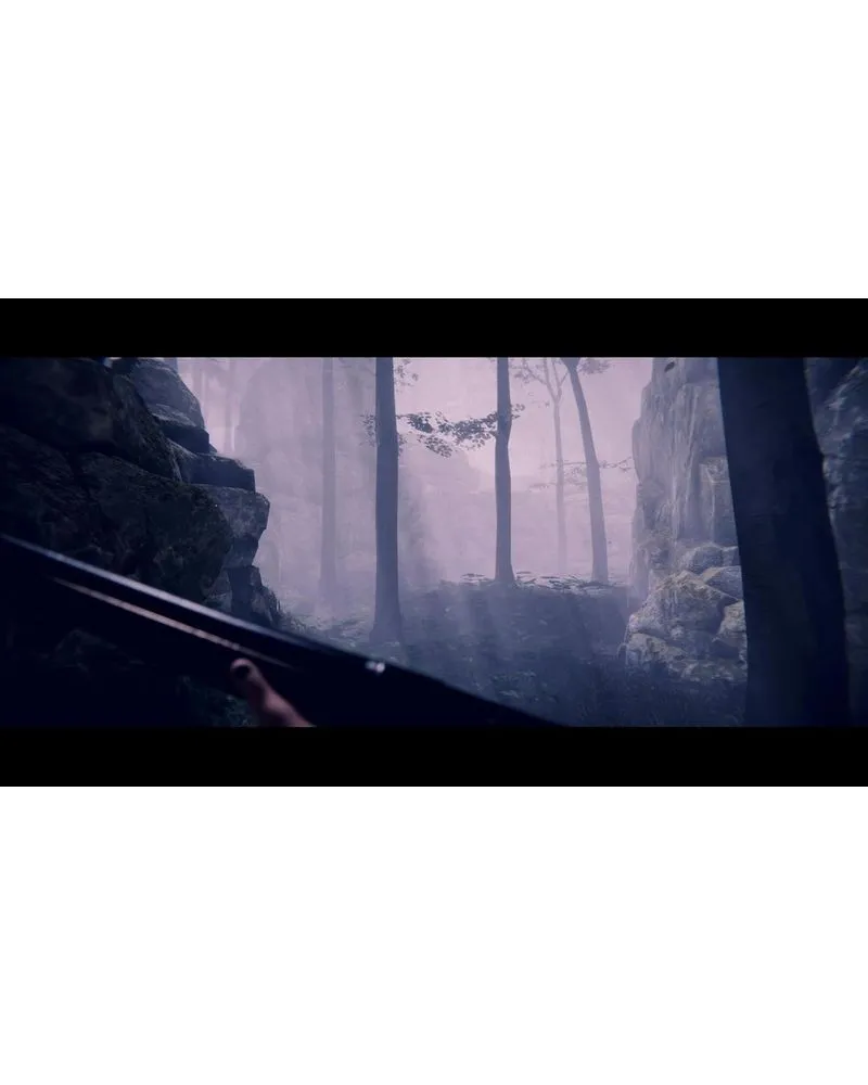PS5 Project Songbird 