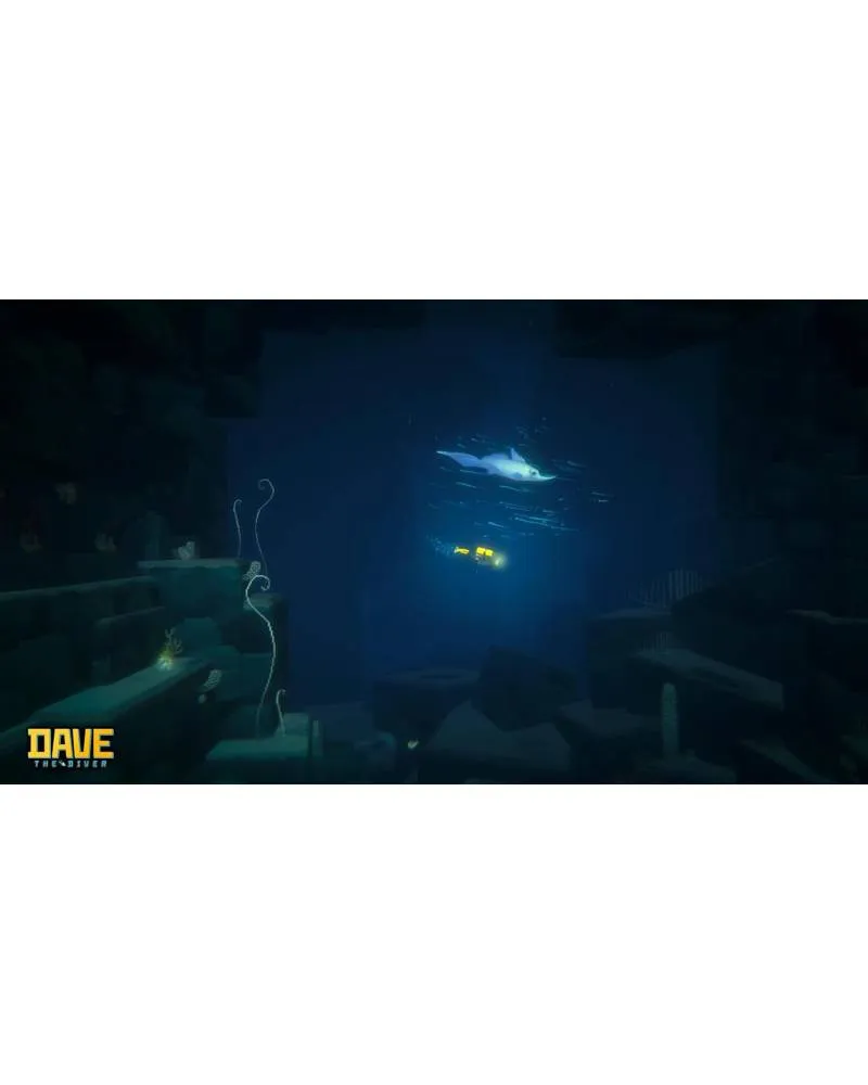 Switch 2 Dave The Diver - Complete Edition 