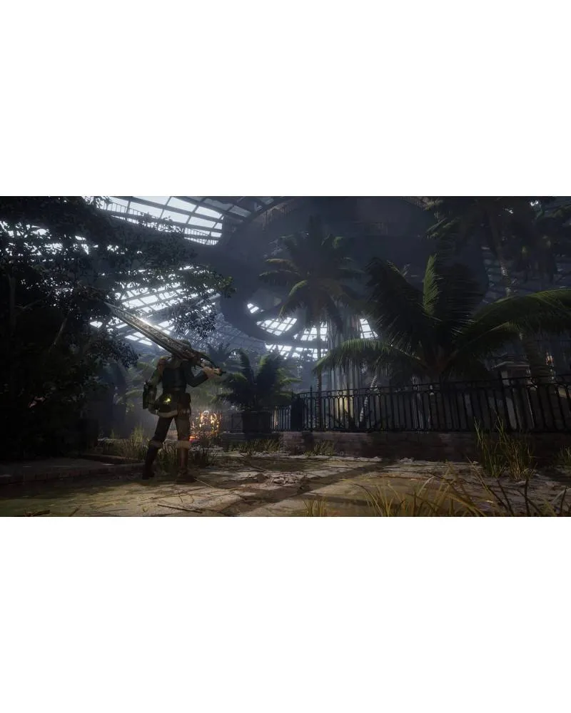 Switch 2 Lies Of P - Complete Edition 
