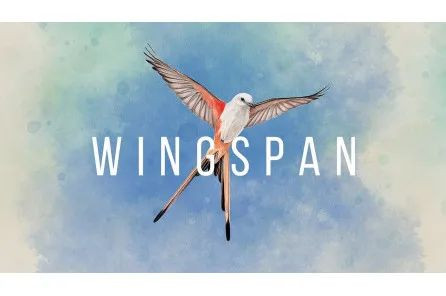 WINGSPAN - dve opcije a isto zadovoljstvo: Stotine i stotine hiljada prodatih primjeraka garantuju dobru zabavu
