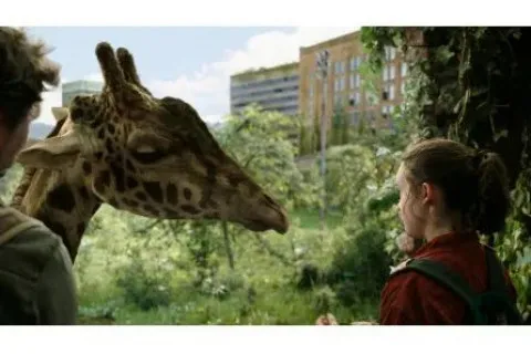 The Last of Us žirafa je prava!