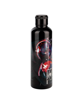 Boca Paladone - Miles Morales Metal Water Bottle 