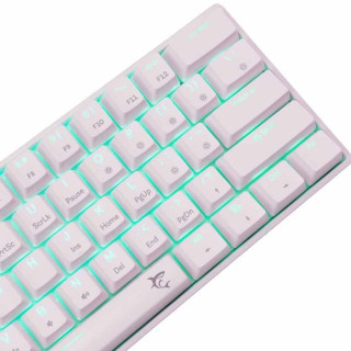Tastatura White Shark - Shinobi 2 - White - Red switch 