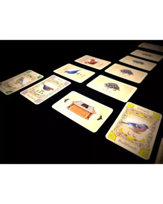 Board Game Piepmatz 