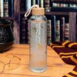 Boca Paladone Harry Potter - Glass Water Bottle 