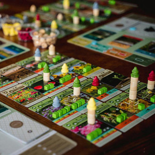 Društvena igra Zemlja 