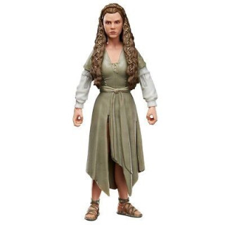 Action Figure Star Wars Episode VI - The Black Series - Princess Leia (Ewok Vill 