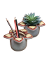 Držač za olovke Paladone - Stranger Things - Pen And Plant Pot 