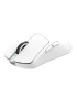 Miš White Shark - Bors WGM 5021 - White 