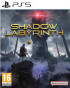PS5 Shadow Labyrinth 