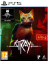 PS5 Stray 
