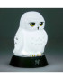 Lampa Paladone Harry Potter - Hedwig Icons Light 