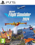 PS5 Microsoft Flight Simulator 2024 