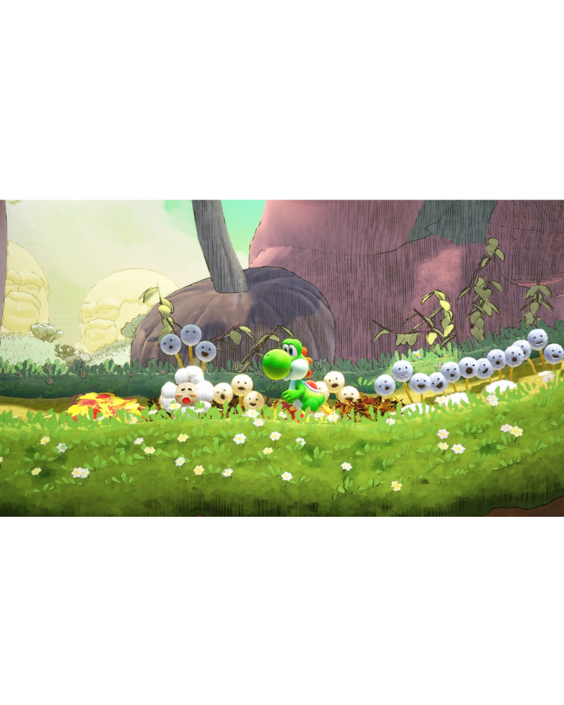 Switch 2 Yoshi And The Mysterious Book 