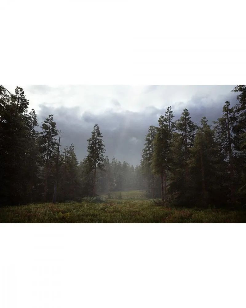 PS4 Hunting Simulator 2