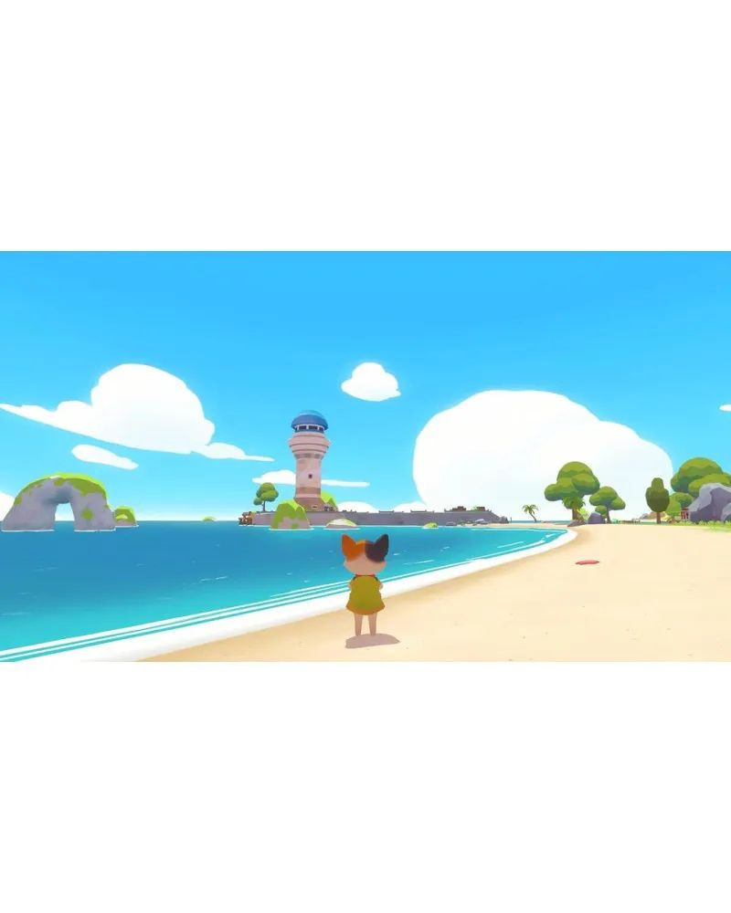 Switch Petit Island 