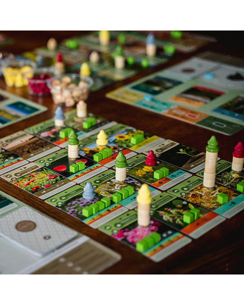 Društvena igra Zemlja 