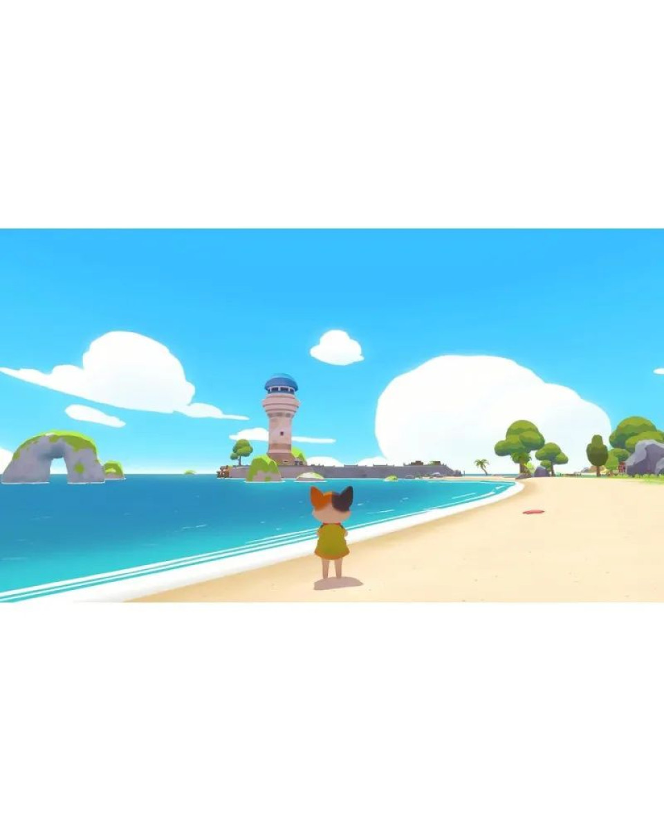 Switch Petit Island 