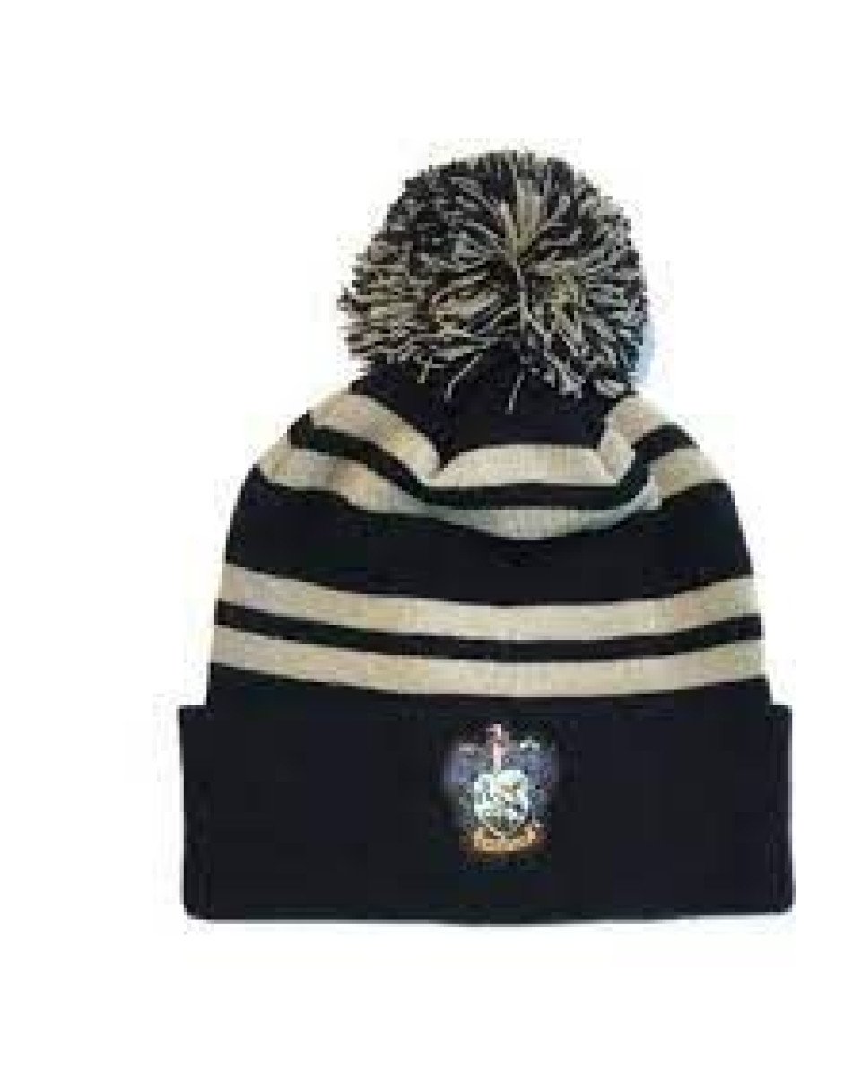 Kapa Harry Potter - House Ravenclaw 