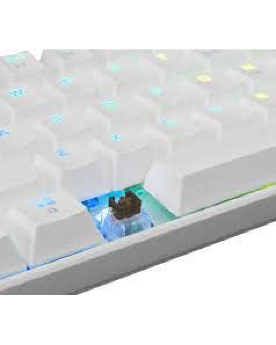 Tastatura White Shark - Shinobi GK-2022 Brown Switch - White 
