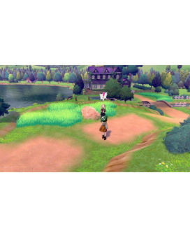 Switch Pokemon - Sword 