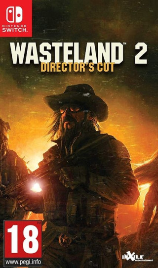 Switch Wasteland 2 - Director's Cut 