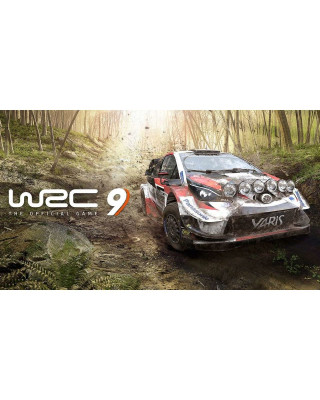 PCG WRC 9 