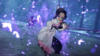 PS4 Demon Slayer - Kimetsu no Yaiba - The Hinokami Chronicles 