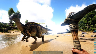 PS4 Ark - Survival Evolved 