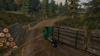 PS4 Truck Driver 