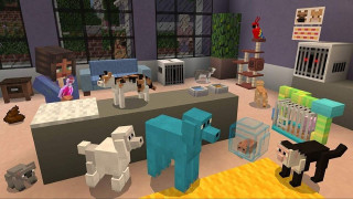 PS4 Minecraft - Bedrock Edition 
