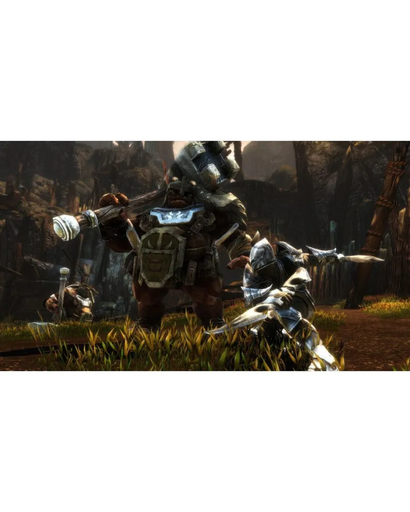 Switch Kingdoms of Amalur Re-Reckoning 