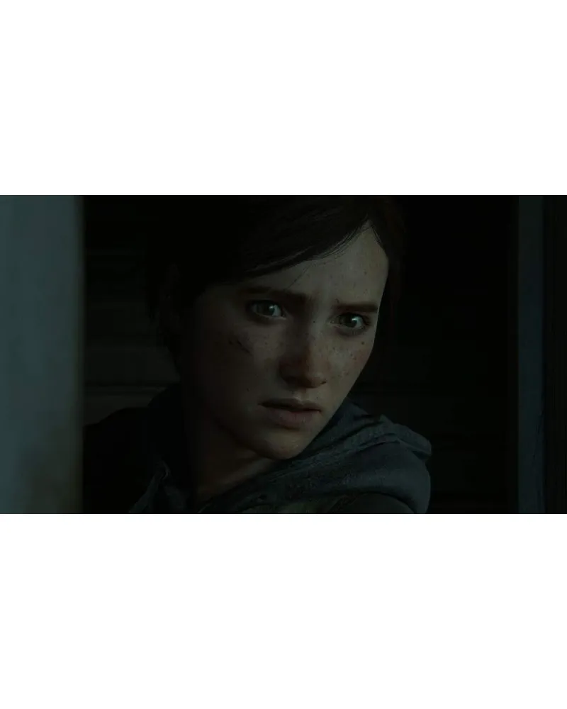 PS4 The Last of Us Part 2 