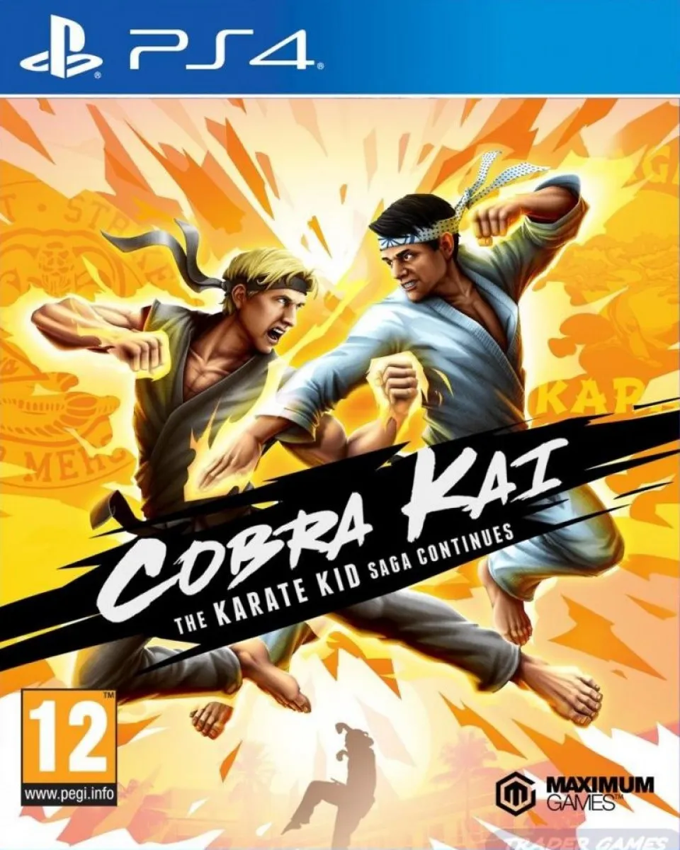 PS4 Cobra Kai The Karate Kid Saga Continues 