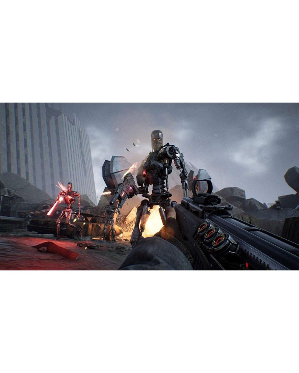 PS4 Terminator Resistance 