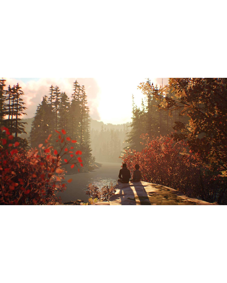 Ps4 Life Is Strange 2 