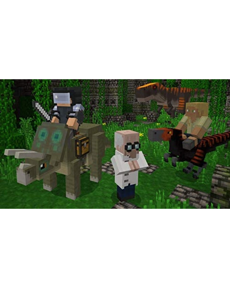 Ps4 Minecraft - Bedrock Edition 